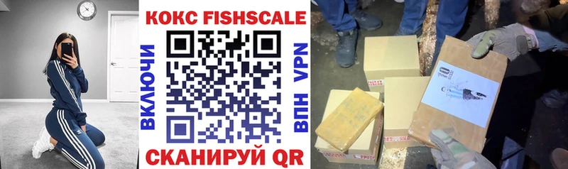 КОКАИН FishScale  Купить  Шенкурск 