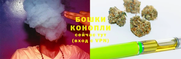 экстази Горняк