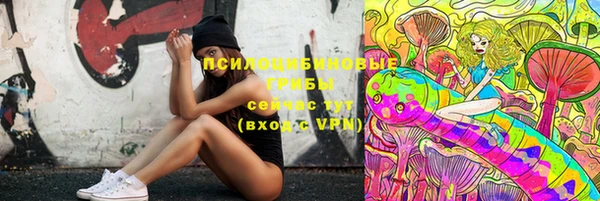 тгк Горно-Алтайск