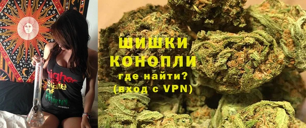 прущие крисы Тында
