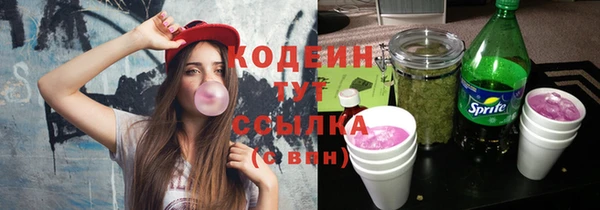 ГАЛЛЮЦИНОГЕННЫЕ ГРИБЫ Туринск