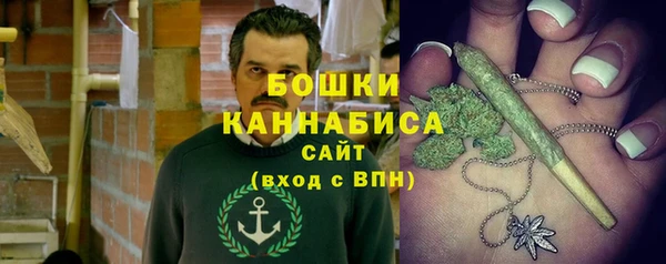 индика Усинск