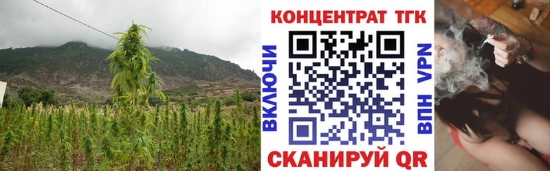 Дистиллят ТГК гашишное масло  Купить  Шенкурск 
